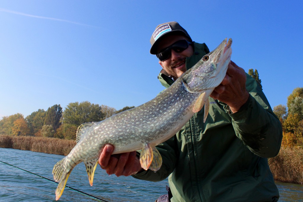 A nice Balaton Pike 